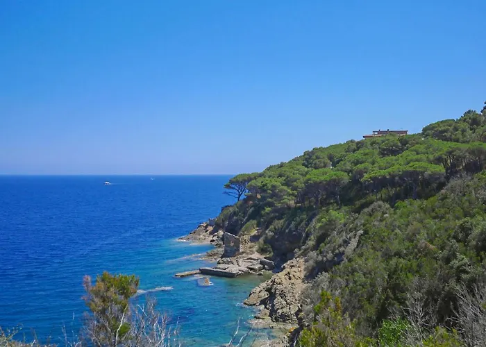 Al Pino 60 By Interhome דירה